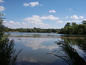 Lake at Aldenham Country Park