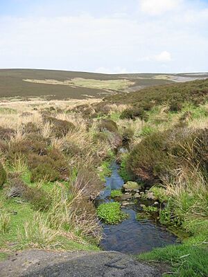 Lammermuir Hills2