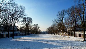 Lawn UVa south toward Old Cabell Hall 2010