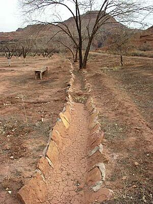 Lonely Dell Ranch irrigation system