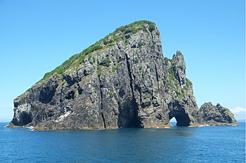 Motukokako Island (Piercy Island) with Hole in the Rock.jpg