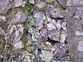 Mur vitrifié 2