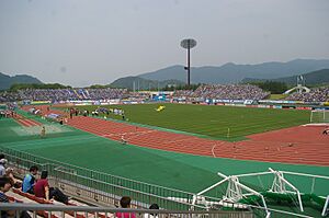 NDsoftstadium20090628