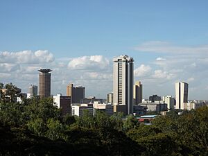Nairobi skyline P1000021