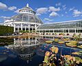 New York Botanical Garden October 2016 004 edit
