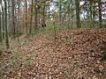 Northwest Boundary Dike SC NPS