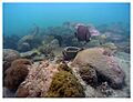 Nuestra Señora de las Angustias Shipwreck Site