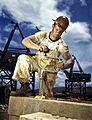 PalmercarpenterA