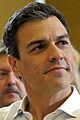 Pedro Sánchez 2015h (cropped)