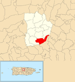 Location of Perchas within the municipality of Morovis shown in red