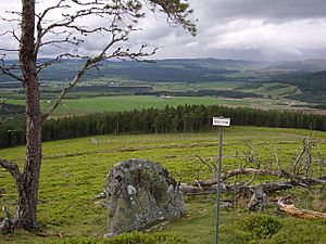 Pipers Stone - geograph.org.uk - 433278.jpg