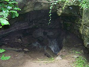 Pottruff Cave - entrance