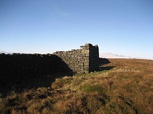 Ruin on Birks Fell - geograph.org.uk - 296211