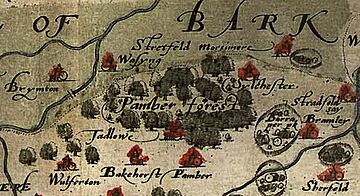 Saxton pamberforest