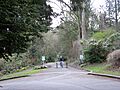 Seattle - Interlaken Bicycle Path 01