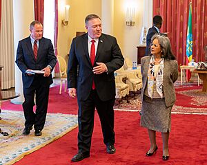 Secretary Pompeo Meets with Ethiopian President Sahle-Work (49557301152)
