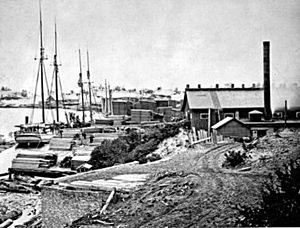 Singapore, Michigan, 1836-1871