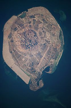 Sir Bani Yas Island, United Arab Emirates.jpg
