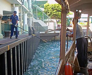 Star Ferry crew using billhook to catch rope at Central ferry pier, Hong Kong