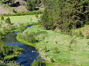 Sumpter Valley RR grade - Middle Fork John Day River Oregon