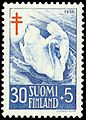 Swan-(Cygnus-olor)-1956
