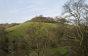 The Castle - geograph.org.uk - 681943