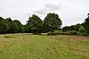 Tiptree Parish Field
