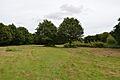 Tiptree Parish Field 8