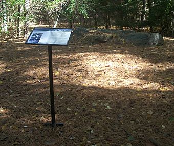An informational plaque with "Boulder Dedicated to the Legacy of W.E.B. Du Bois" headlining text and pictures in the front on a slender black stand to the right. It stands in a clearing in a wooded area covered in orange downed pine needles; to its rear, on a small rise, is the boulder referred to on the plaque.