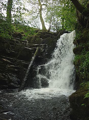 Waterfall on Peasey Beck near Beckside (geograph 2384065).jpg