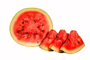 Watermelon cross BNC.jpg