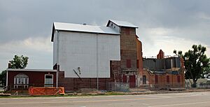 Windsor Milling and Elevator Company Building
