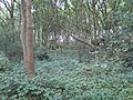 Woodridge Nature Reserve