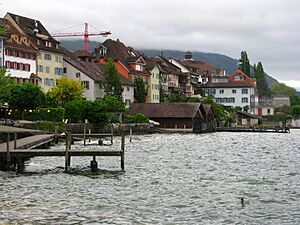Zug - Unterstadt - Zugersee IMG 2606