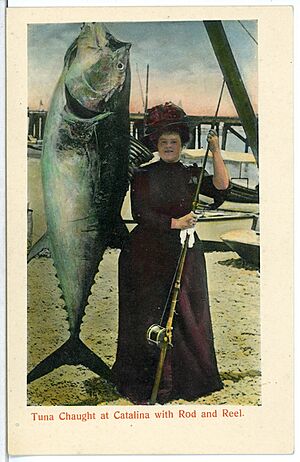 04945-Catalina-1903-Tuna chaught at Catalina with Rod and Reel-Brück & Sohn Kunstverlag