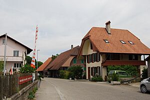 2012-05-26-Seeland (Foto Dietrich Michael Weidmann) 339