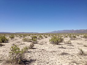 2014-07-06 15 18 34 Desert near an old windmill along Nevada State Route 140 (Adel Road) near the eastern edge of the Sheldon National Wildlife Refuge, Nevada.JPG