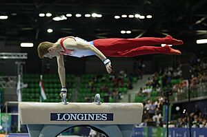 2019-06-29 1st FIG Artistic Gymnastics JWCH Men's Apparatus finals Pommel horse (Martin Rulsch) 080