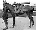 75mm-pack-howitzer-M1920-FAJ19210304-6