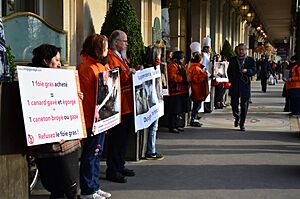 Action anti-foie gras au Meurice, Paris (19)