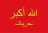 Allah-o-Akbar Tehreek Flag.svg