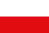 Flag of Breña Alta