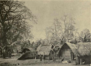 Bateke Village, Kinshasa - Starr, Frederick, Congo natives - an ethnographic album (1912)