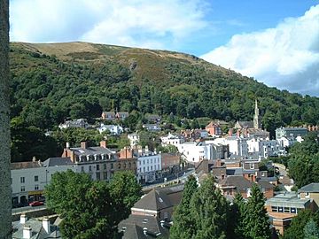Belle Vue Terrace, Malvern from the top of Priory Church - geograph.org.uk - 3493.jpg
