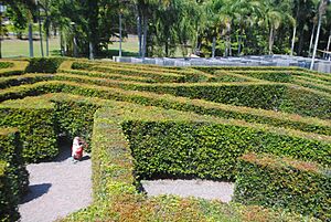 Bellingham Maze, 2015 03