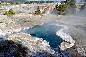Blue star spring 20190715 083636 1