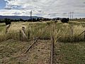 Bombala Railway at Bredbo, New South Wales