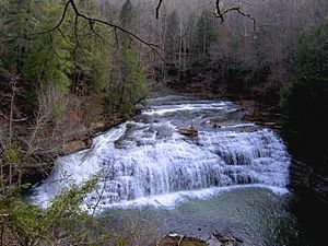 Burgess-middle-falls-tennessee1