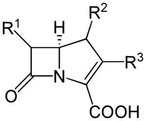 Carbapenems structure
