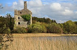 Castles of Munster, Dromore, Clare (2) - geograph.org.uk - 1542609.jpg